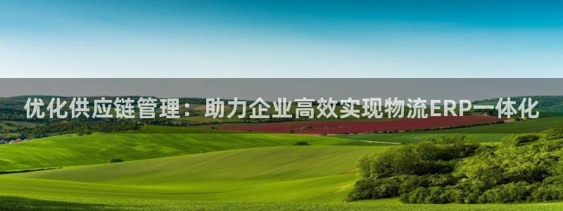 超凡国际可以退款吗：优化供应链管理：