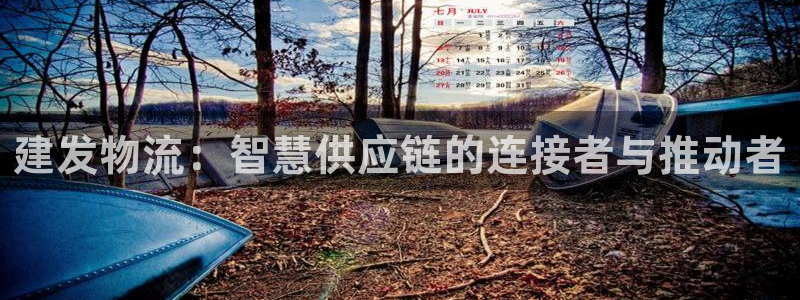 超凡国际官网入口正版：建发物流：智慧