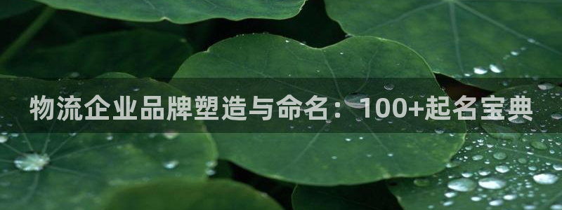 超凡国际稳吗：物流企业品牌塑造与命名