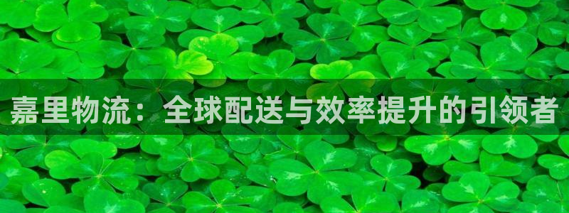 超凡国际口内径是多大：嘉里物流：全球