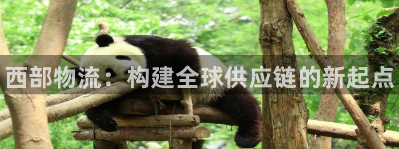 超凡国际加拿大真假怎么看：西部物流：