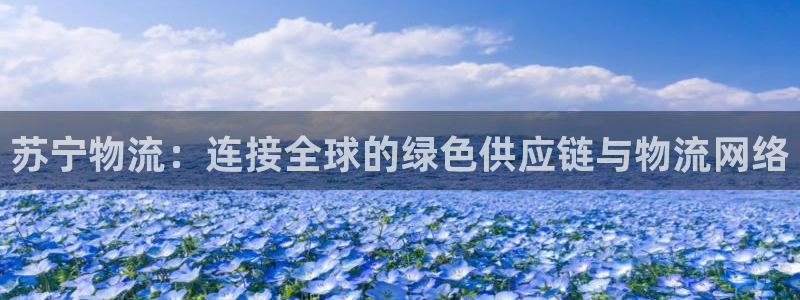 超凡国际下载体育：苏宁物流：连接全球