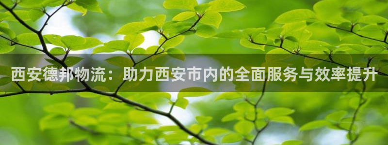 超凡国际绿骨头：西安德邦物流：助力西