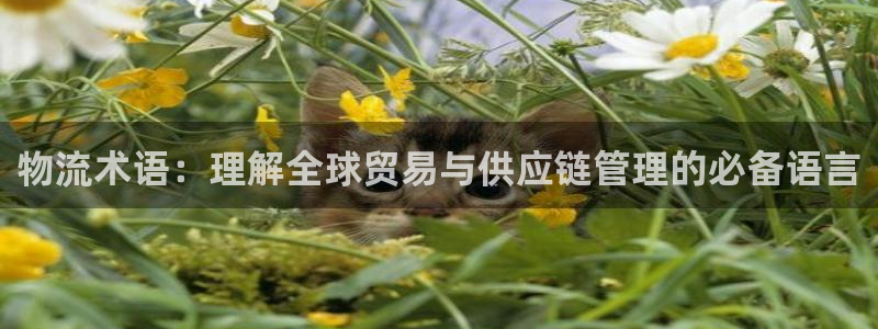 超凡国际预测：物流术语：理解全球贸易