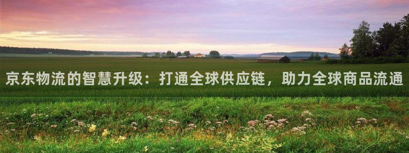 超凡国际机器人是什么软件：京东物流的