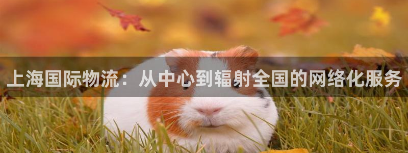 超凡国际相信品牌的力量：上海国际物流