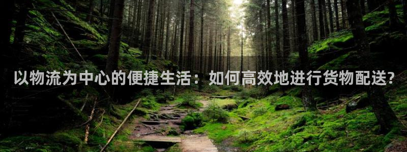 超凡国际游戏官网版：以物流为中心的便
